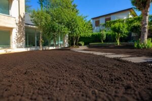 Leia mais sobre o artigo Terra Preta Peneirada para Jardins em Farroupilha/RS