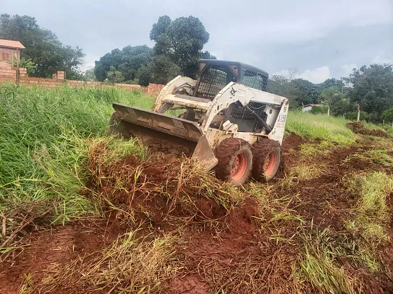 Minicarregadeira Bobcat removendo mato e camada vegetal em limpeza de terreno